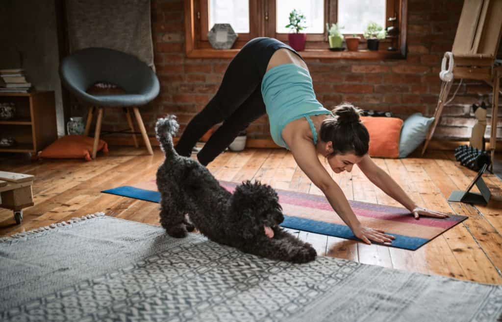 Yoga with Dog
