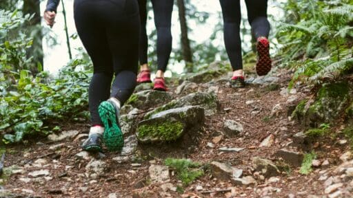 People walking in the forest